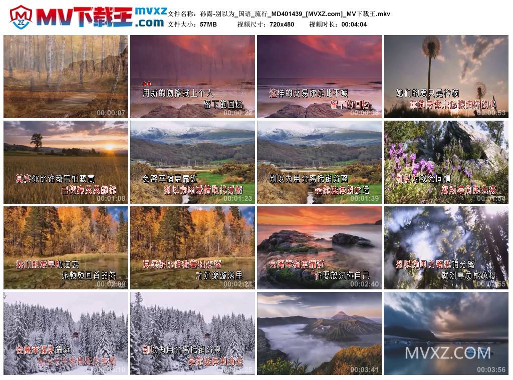 孙露-别以为_国语_流行_MD401439